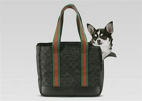 gucci guinzaglio cane|gucci shoulder bag.